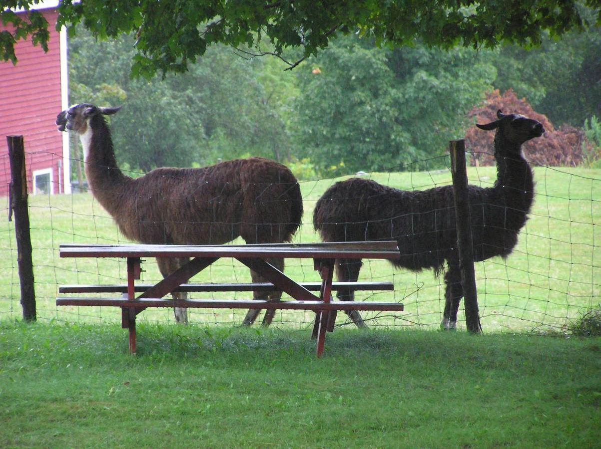 אוגוסטה Maple Hill Farm Inn מראה חיצוני תמונה